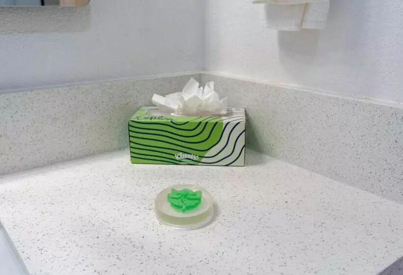 Hotelli Dragonfly Inn & Suites