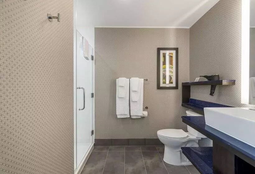 هتل Glo Best Western Pooler   Savannah Airport