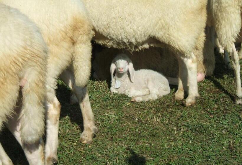 فندق Schoenleithof