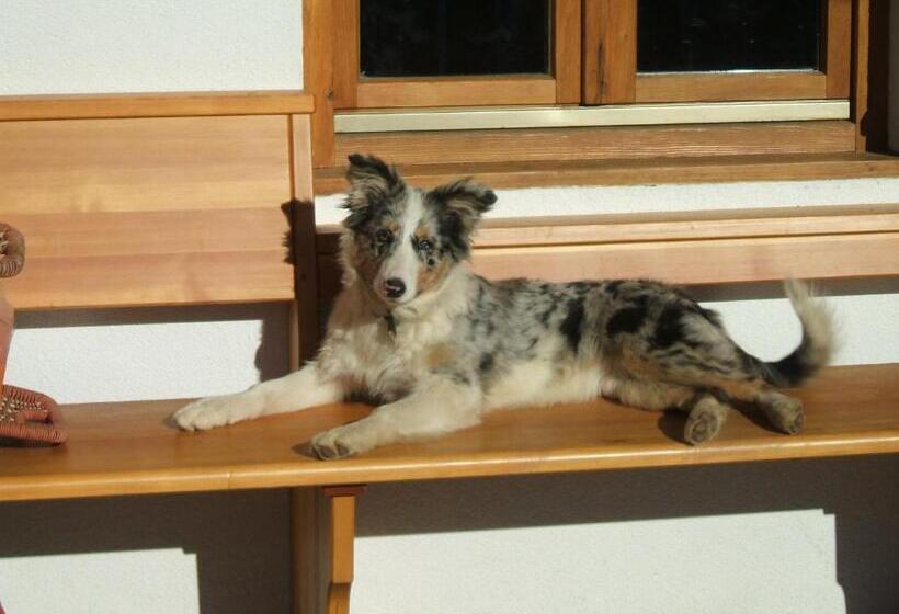 فندق Schoenleithof