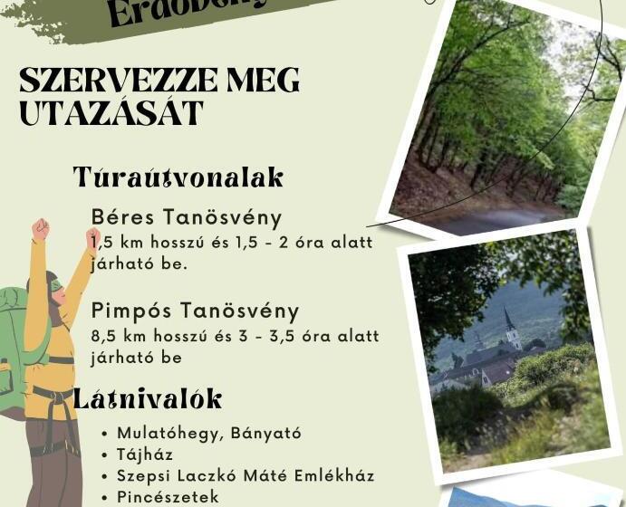 Pensionat Bacchus Vendégház