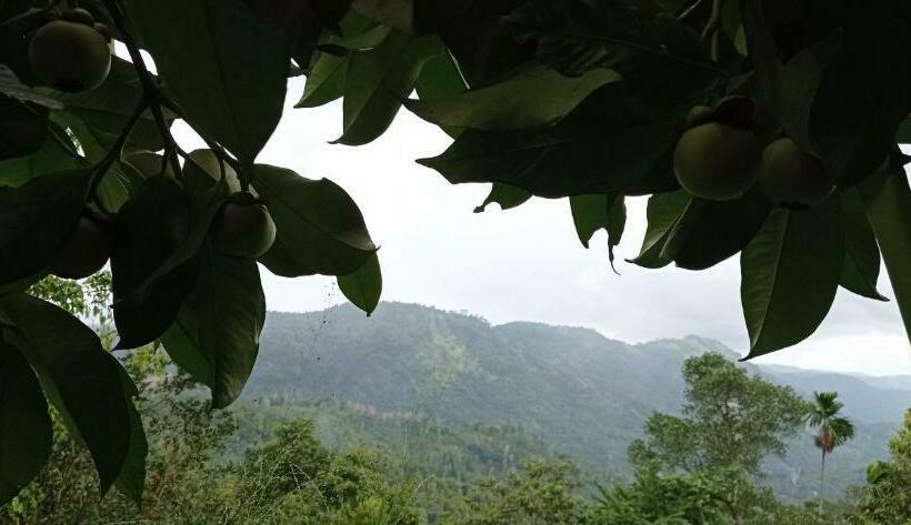 Pensão New Elkaduwa Loft