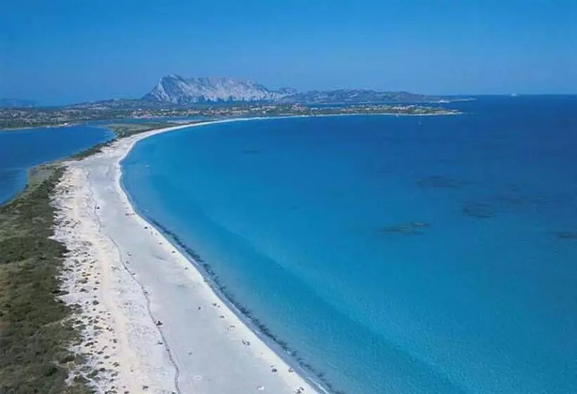 ペンション Room In Guest Room   Super Comfort Room In Sardinia   Italy