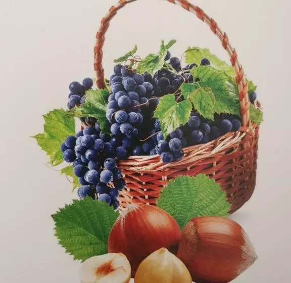 Aamiaismajoitus (B&B) Villa Alta Langa