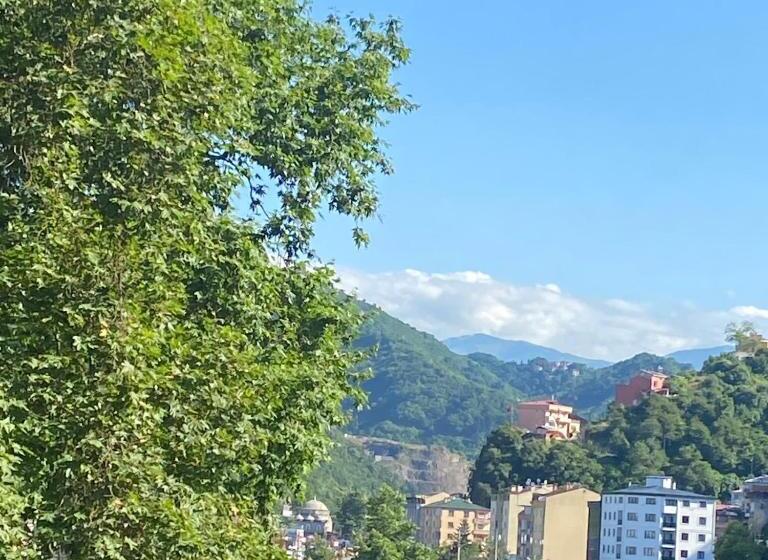 Hotel Türkler Suite