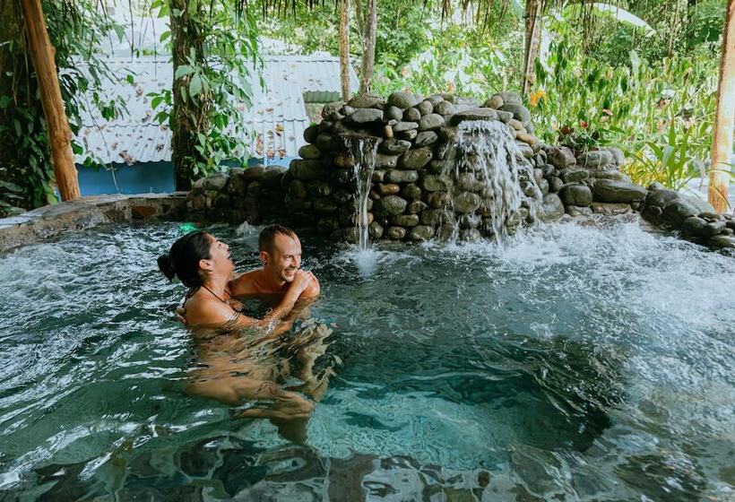 تختخواب و صبحانه Oasis Diverse Adult Retreat