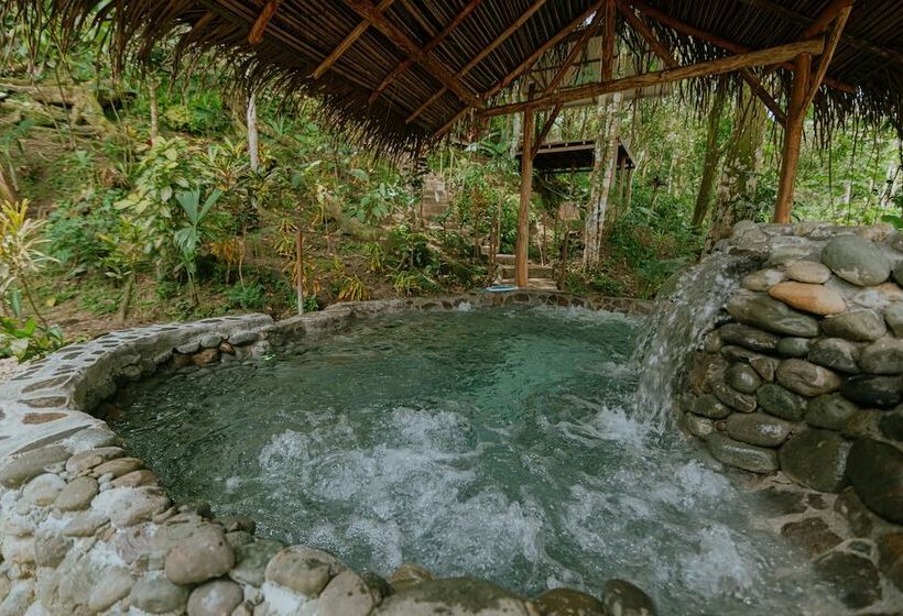 تختخواب و صبحانه Oasis Diverse Adult Retreat