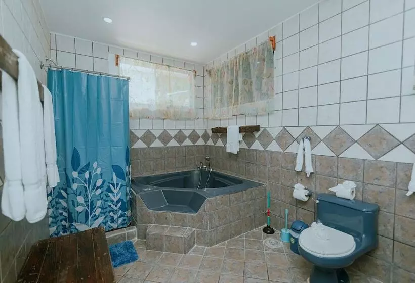 Aamiaismajoitus (B&B) Oasis Diverse Adult Retreat
