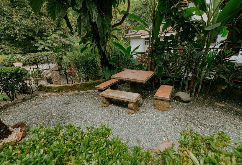 تختخواب و صبحانه Oasis Diverse Adult Retreat