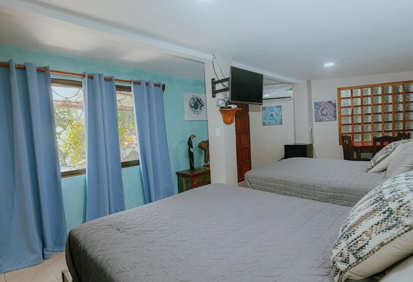 تختخواب و صبحانه Oasis Diverse Adult Retreat