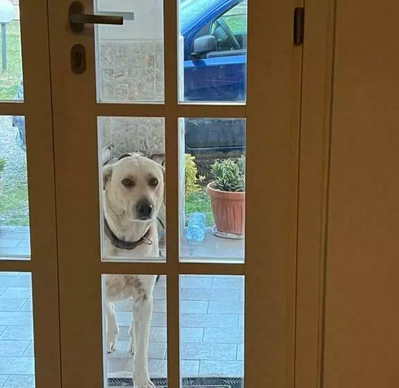 تختخواب و صبحانه The Arches House Iun F1092