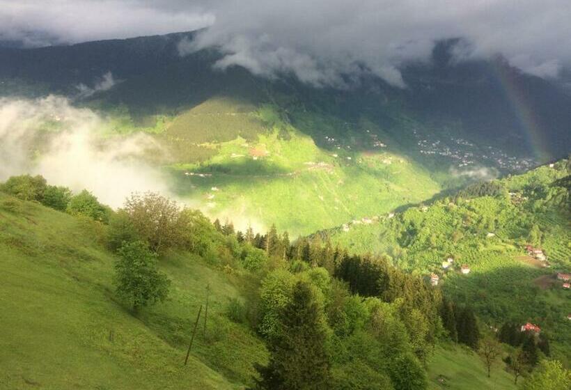 ホテル Meşei̇çi̇ Butik