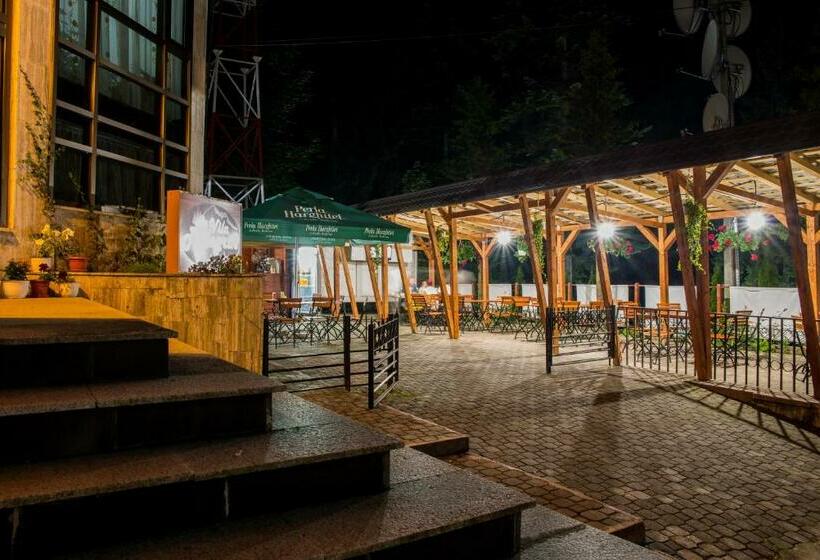 پانسیون Vila Pellegrin