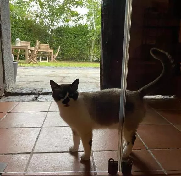 Hotelli El Jardin De Las Magnolias