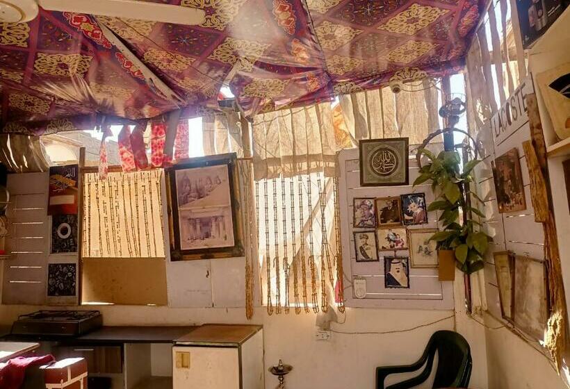 هاستل Newyork Plaza