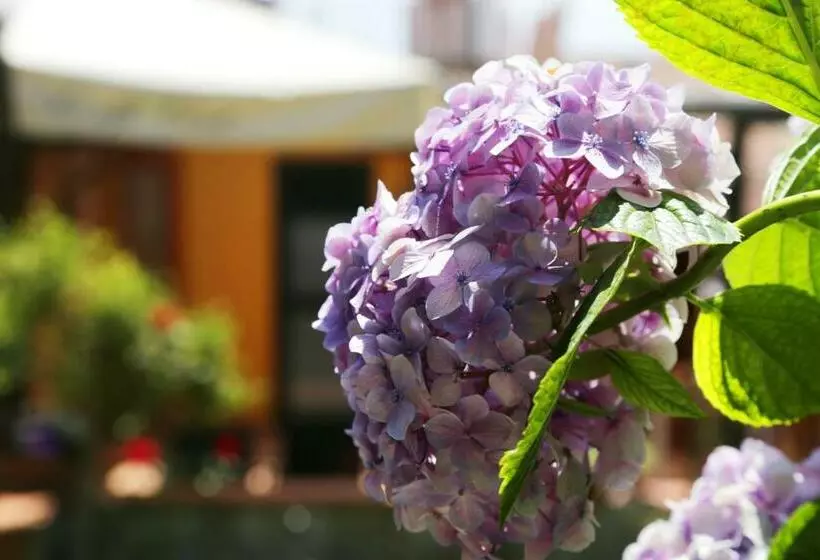 تختخواب و صبحانه Casa Rosaria