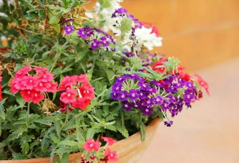 تختخواب و صبحانه Casa Rosaria