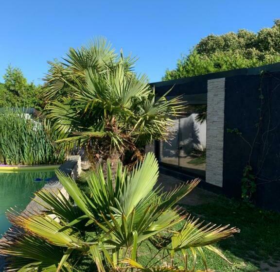 مبيت وإفطار Brown