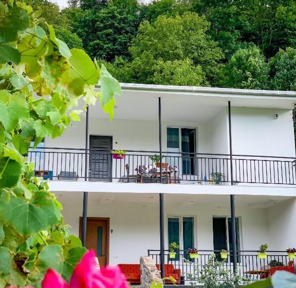 پانسیون White House In Borjomi