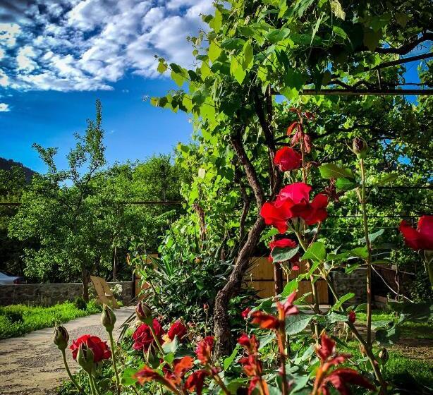 پانسیون White House In Borjomi