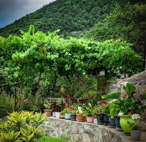 پانسیون White House In Borjomi