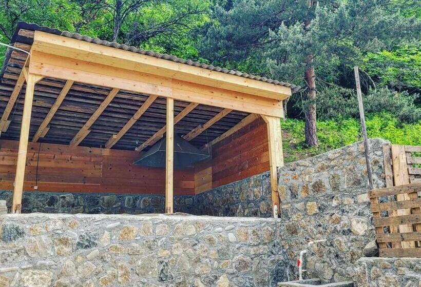 پانسیون White House In Borjomi