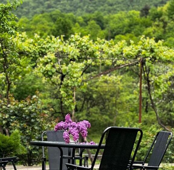پانسیون White House In Borjomi
