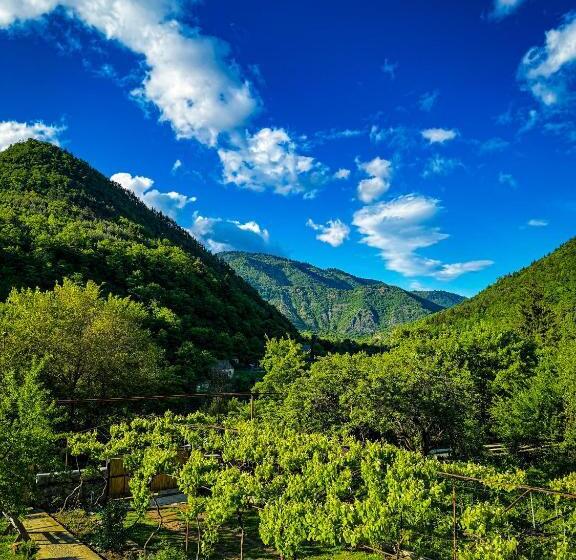 پانسیون White House In Borjomi