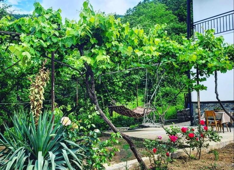 پانسیون White House In Borjomi