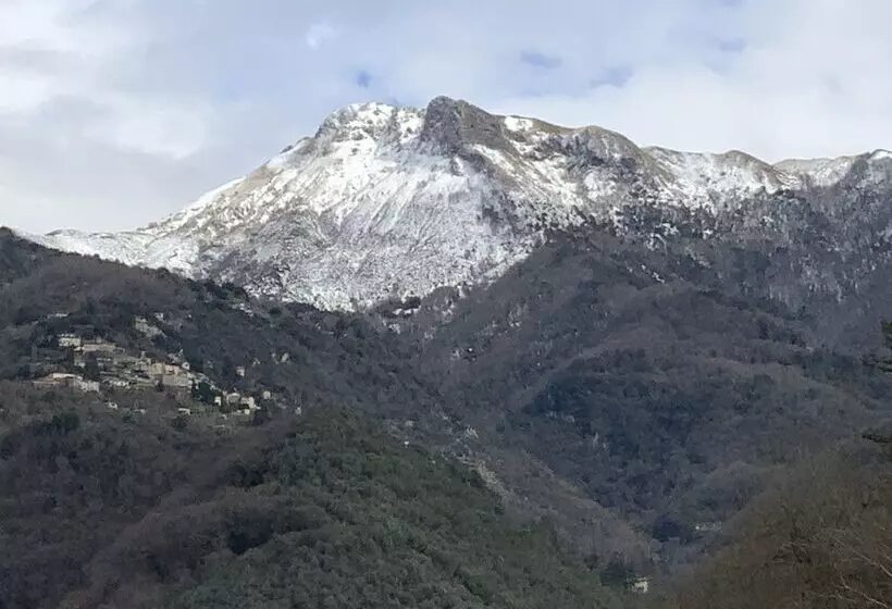 Casa La Wanda In Camaiore Toscana Terrazza