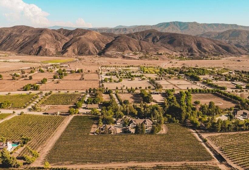 La Barrique By Avantstay Secluded 14 Acre Estate W Vball & Pool