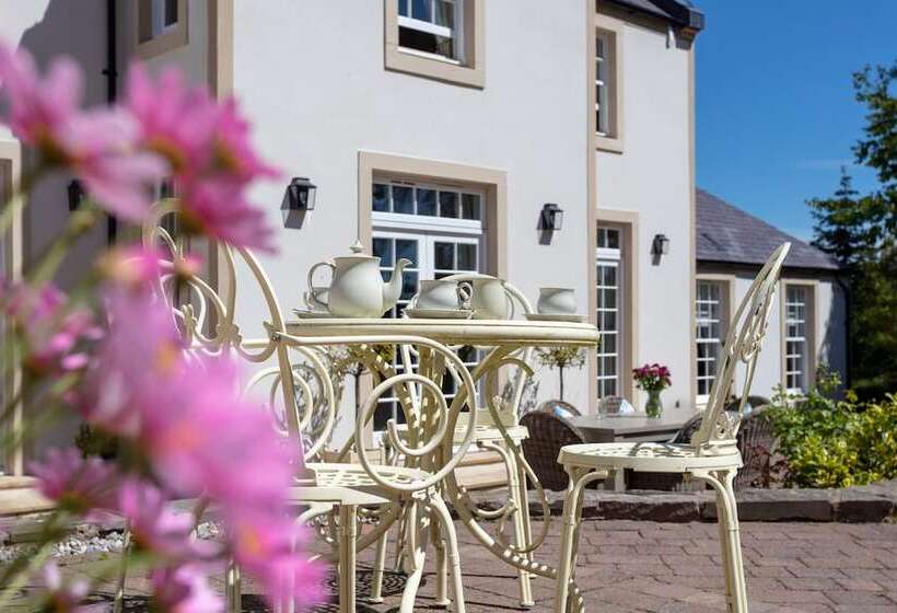 The Coyle House Donnini Deluxe