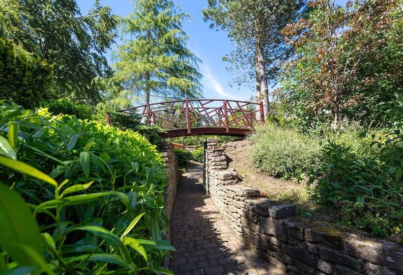 The Coyle House Donnini Deluxe