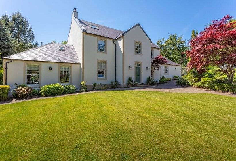 The Coyle House Donnini Deluxe