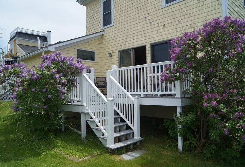 Short Sands View Y770 G Beautiful, Large Home Short Walk Through A Neighborhood To Short Sands Beach