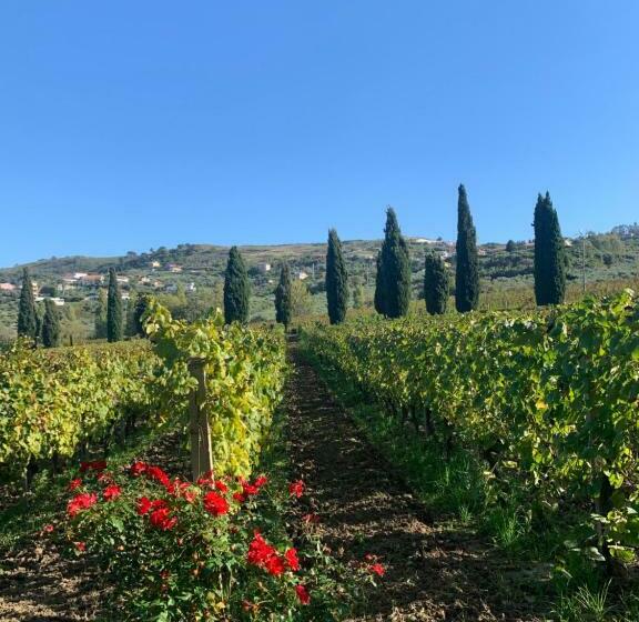 Villa Claudia Casa Vacanze