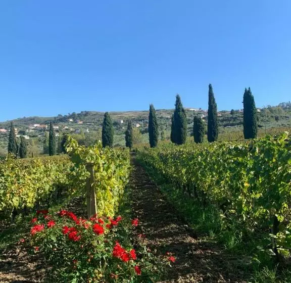 Villa Claudia   Casa Vacanze