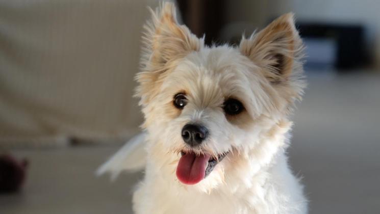 צימר L Anima Bb & Table D Hôte