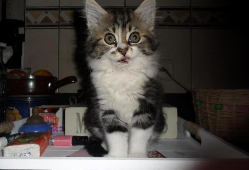 צימר L Anima Bb & Table D Hôte