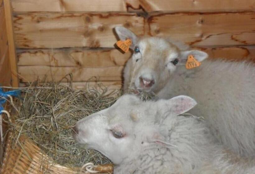 צימר L Anima Bb & Table D Hôte