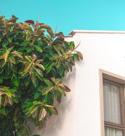 Feri Surf Club Hotel Datça