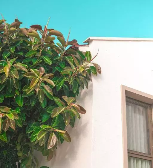 Feri Surf Club Hotel Datça