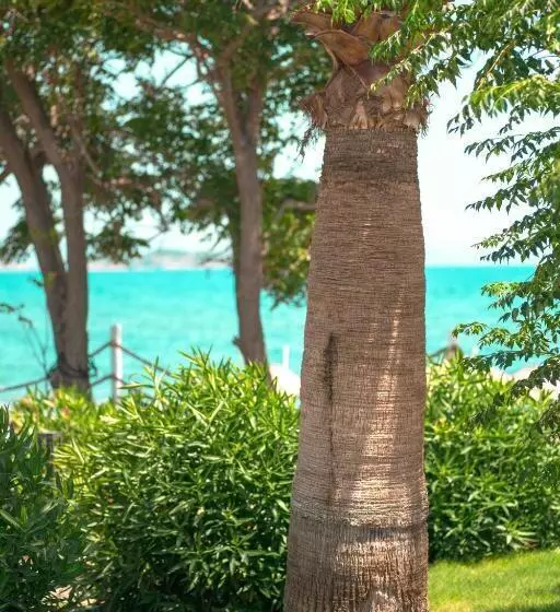 Feri Surf Club Hotel Datça