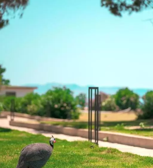 Feri Surf Club Hotel Datça