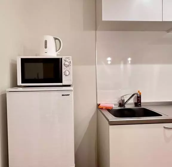 پانسیون 拾野の家 301洋室