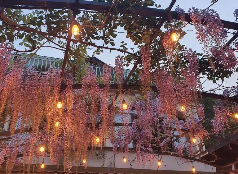 پانسیون Luxury Apartments Teodora