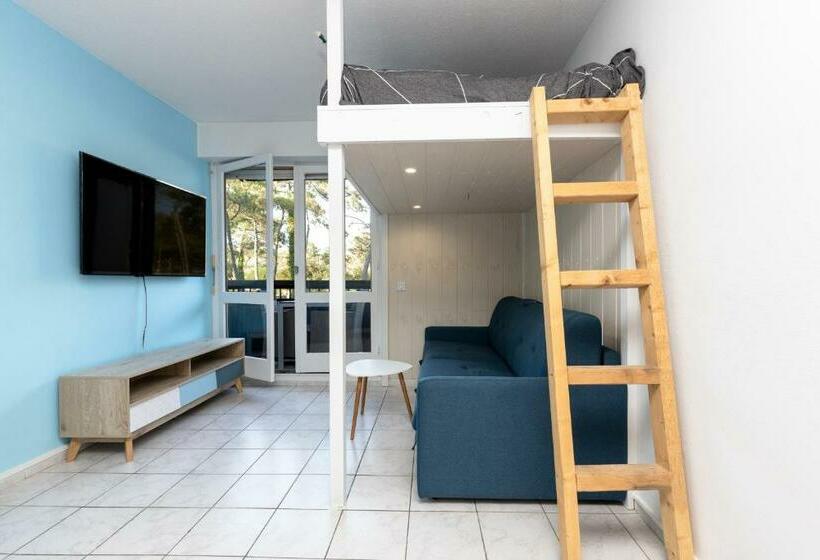 Studio Seignosse Proche Plage