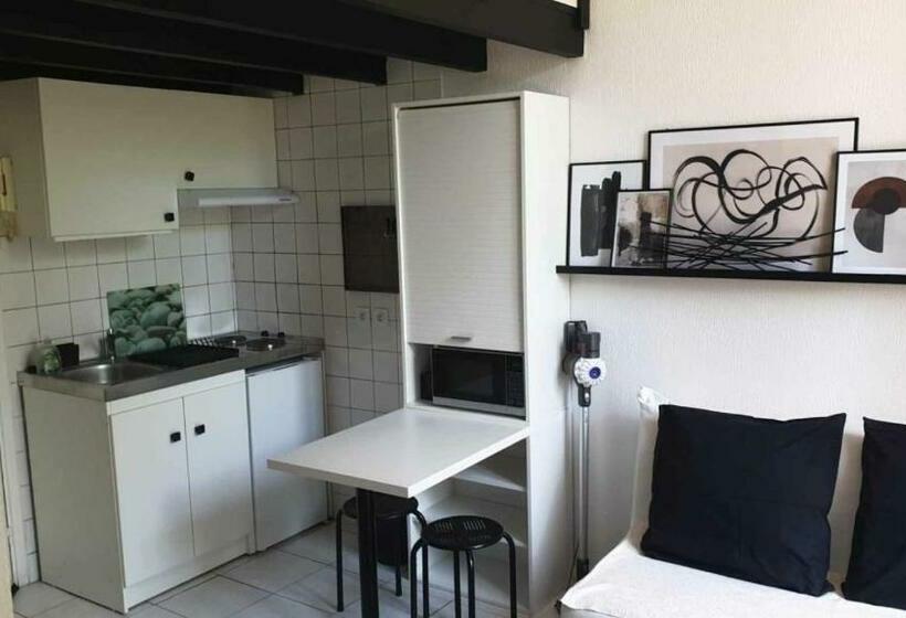 Les Palmiers   Studio Cosy Proche Plages Et Centre