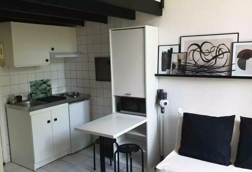 Les Palmiers Studio Cosy Proche Plages Et Centre