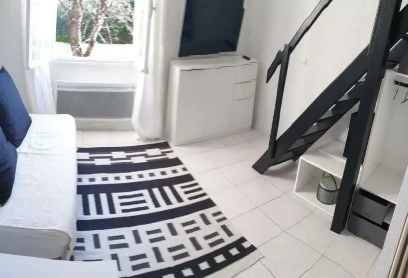 Les Palmiers Studio Cosy Proche Plages Et Centre